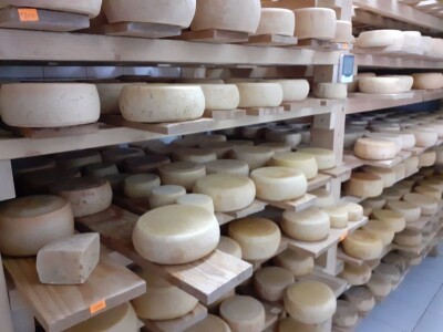 Sirana  Šestak na udaru krize