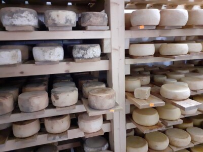 Sirana  Šestak na udaru krize