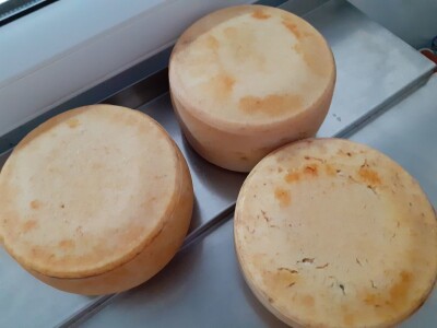 Sirana  Šestak na udaru krize