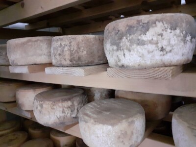 Sirana  Šestak na udaru krize