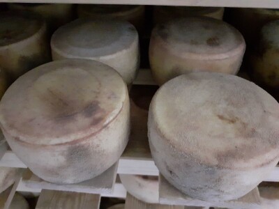 Sirana  Šestak na udaru krize