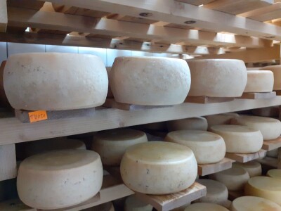 Sirana  Šestak na udaru krize