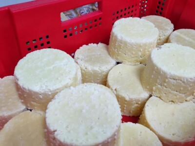 Sirana Vedrine u Lici