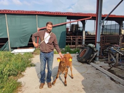 Sirana Vedrine u Medaku Sirana Vedrine u Medaku