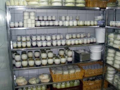 Proizvode 44 vrste mliječnih proizvoda