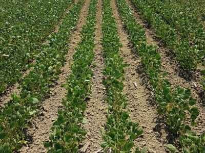 Širenje tržišta, zahtijevalo je veća ulaganja, pa su podigli kredit u švicarcima