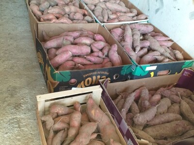 Širenjem  koronavirusa dalmatinci se okrenuli domaćoj "kašiki"