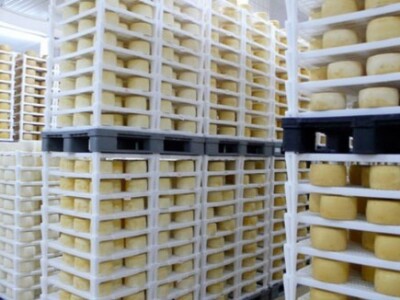 Proizvodi u sirani Gligora