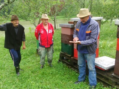 I ove nepovoljne godine vrcali med