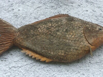 Adam je izrezbario šarana