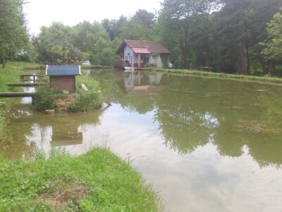 U maloj kućici (lijevo) obitavaju patke