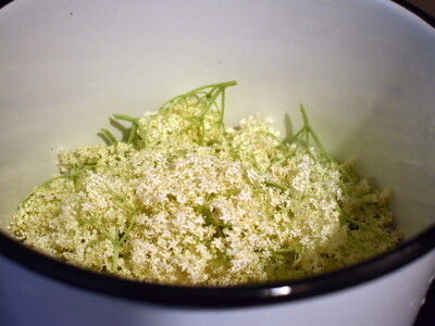 Sirup od bazge Sirup od bazge