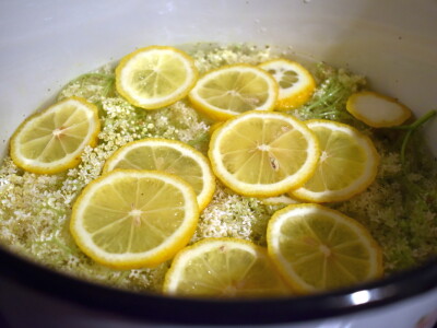 Sirup od bazge Sirup od bazge