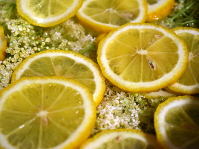 Sirup od bazge Sirup od bazge