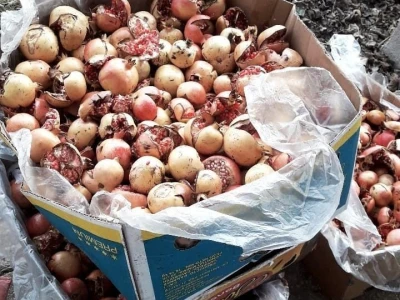 Sirup od šipka tradicionalna moderna  namirnica