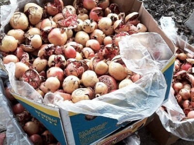 Sirup od šipka tradicionalna moderna  namirnica