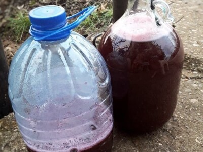 Sirup od šipka tradicionalna moderna  namirnica