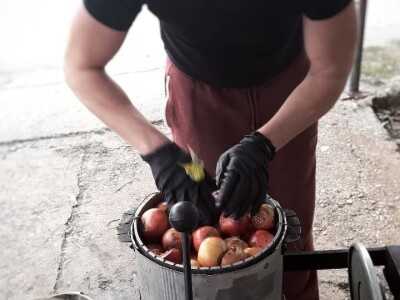 Sirup od šipka tradicionalna moderna  namirnica