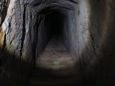 Šišmiš Mali potkovnjak (Rhinolophus hipposideros)