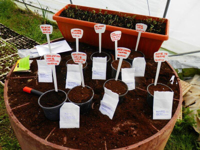 Razne vrste sjemenja Razne vrste sjemenja