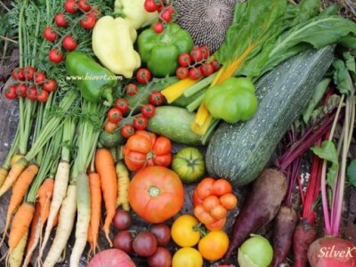 Plodovi proizvedeni od sjemena tradicionalnih starih sorata