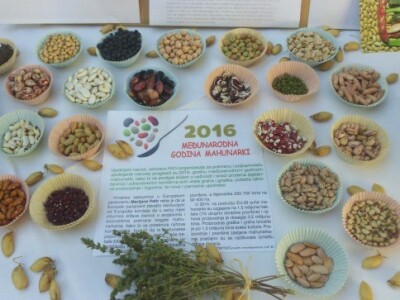 Međunarodna godina mahunarki