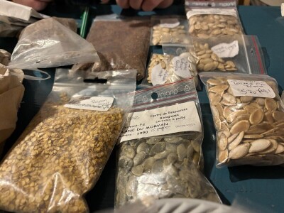 Sjeme kao zalog budućnosti