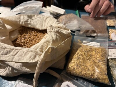 Sjeme kao zalog budućnosti