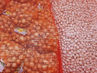 Sjemenski luk, arpadžik Sjemenski luk, arpadžik