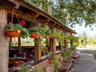 OPG Stipino Čeminac