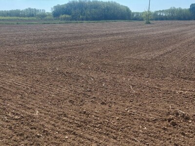 Sjetva kukuruza u Gornjoj Slatini