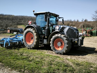 Sjetva luka OPG Branko Pilaš iz Viškovaca kod Požege