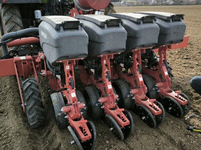 Sjetva luka OPG Branko Pilaš iz Viškovaca kod Požege