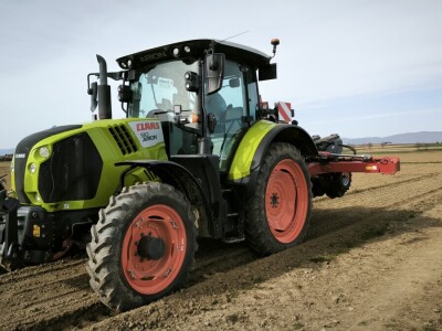 Sjetva luka OPG Branko Pilaš iz Viškovaca kod Požege
