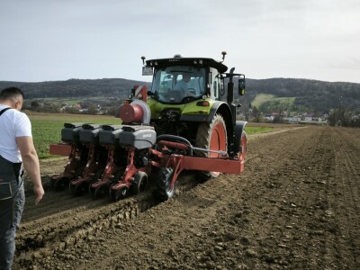 Sjetva luka OPG Branko Pilaš iz Viškovaca kod Požege