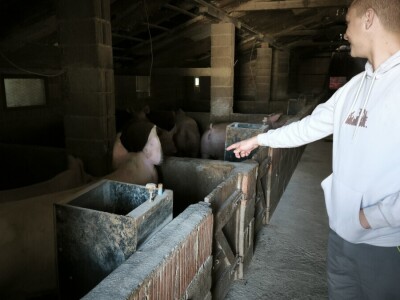 Sjetva luka OPG Branko Pilaš iz Viškovaca kod Požege