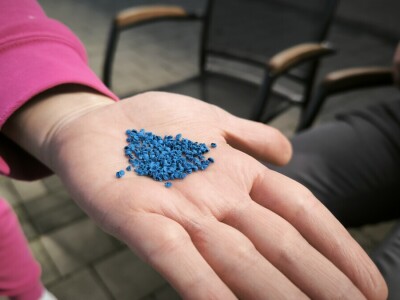 Sjetva luka OPG Branko Pilaš iz Viškovaca kod Požege