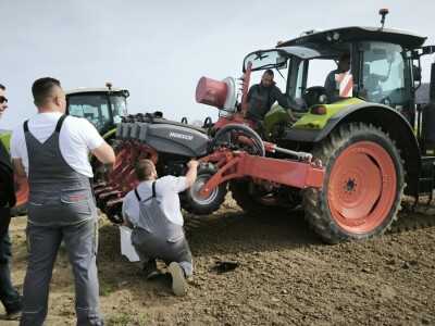 Sjetva luka OPG Branko Pilaš iz Viškovaca kod Požege