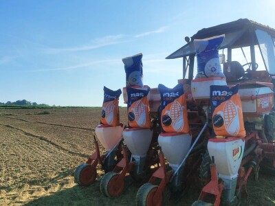 Poljoprivrednici sve više siju SelectiS hibride kukuruza