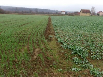 Ratari priželjkuju snijeg da zaštiti usjeve od niskih temperatura