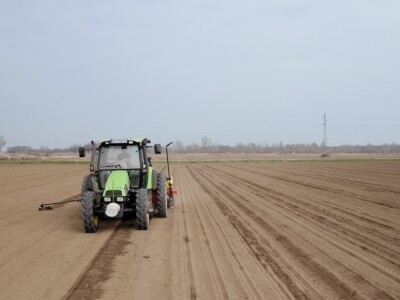Sjetva soje u Županji Sjetva soje u Županji