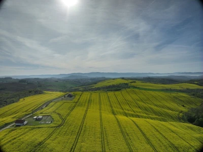 Sjteva i repica