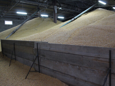 Kukuruz u skladištu čeka bolju cijenu Kukuruz u skladištu čeka bolju cijenu