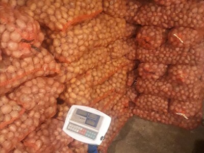 Skladištenje konzumnog krompira