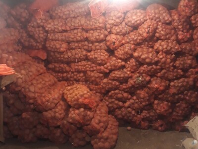 Skladištenje konzumnog krompira