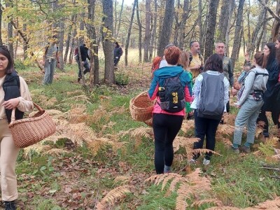 Škola gljivarstva u Peckoj