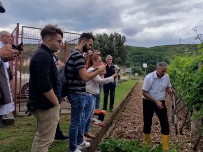 Škola kalemljenja vinove loze i masline