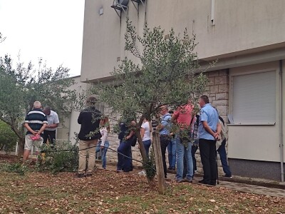 Škola kalemljenja vinove loze i masline