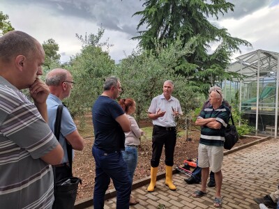 Škola kalemljenja vinove loze i masline