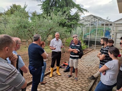 Škola kalemljenja vinove loze i masline